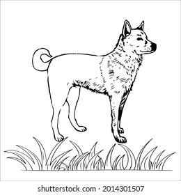 This is line art black and white  Dog image 