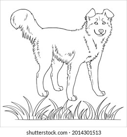 This is line art black and white  Dog image 