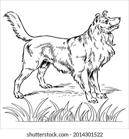 This is line art black and white  Dog image 