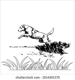 This is line art black and white  Dog image 