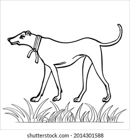 This is line art black and white  Dog image 