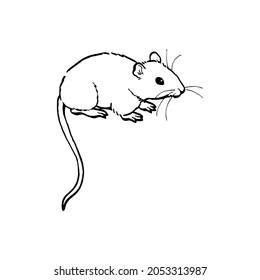 this is line art of mouse