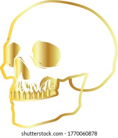 Este logotipo está basado en el cráneo humano