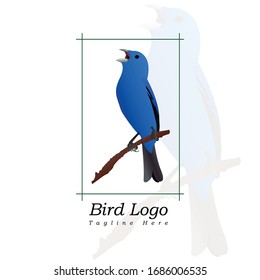 This logo depicts a bird perched on a tree branch. This logo is good for use as a company or a business logo that engages in various creative fields. Or it can also be used as an application logo.