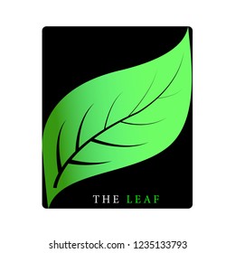 This logo has a leaf. This logo is good to use as a company logo or can also be used as an application logo. But it can also be used in various other creative businesses as needed.