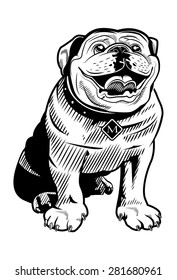This lovable bull dog can be used for any sport mascot, icon, pet shop, t-shirt and/or pet charity. / BullDog 