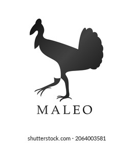This is a Maleo Logo Design