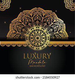 This is the Mandala Design Vector