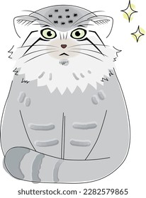 This is a manul cat sitting with its tail wrapped around its body and a crisp, determined expression on its face.