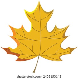 This is an maple leaf