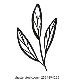 This is a minimalist illustration featuring three elegant leaves, ideal for use in nature themed designs and artwork