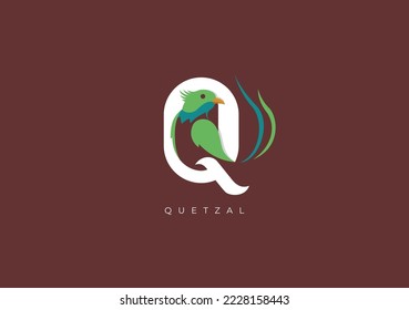 This is a modern logo of Quetzal, Great combination of Quetzal Bird symbol with letter Q as initial of Quetzal itself.