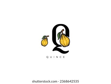 This is a modern Quince Fruit Vector, Great combination of Quince Fruit symbol with letter Q as initial of Quince Fruit itself. Nice for Logo, Monogram, Symbol or any graphic design needs.