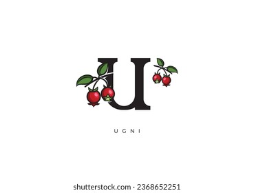 This is a modern Ugni Fruit Vector, Great combination of Ugni Fruit symbol with letter U as initial of Ugni Fruit itself. Nice for Logo, Monogram, Symbol or any graphic design needs.