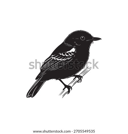 This monochromatic, black-and-white illustration features a stout songbird perched confidently on a horizontal branch, rendered in a classic etching style that emphasizes precision, contrast, and text