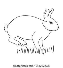 esto es arte de la nueva línea de conejo divertida, arte vectorial de conejo, dibujo de línea de conejo, ilustraciones de conejo
