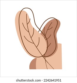 Esta bonita y cuidada planta de blobs es perfecta y adecuada para diversas necesidades de diseño como diseños corporativos de promoción, tarjetas de identificación, infografías, publicaciones en medios sociales y otros.
