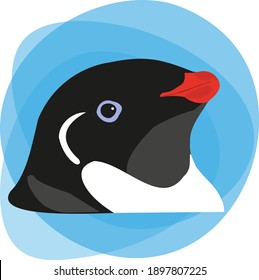 This is a northern penguin. Let's save these animals.