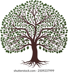 This oak tree vector illustration showcases the strong form of an oak tree, featuring detailed branches and leaves. The oak tree silhouette can be used as a logo, icon, or standalone design. 