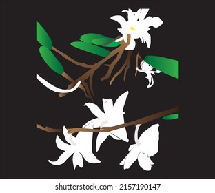 This is an orchid flower vector background, suitable for wallpapers, backgrounds, book covers, clothing motif designs and much more.