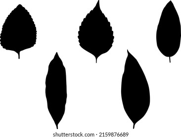 This is our new Leaf Silhouettes. You can use this design on: T-shirt, Hoodie, Mug, Pillow, Bag, Clothes printing, Printable decoration, and much more.