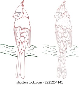 this is a  Outline BIRDS Template Vector 