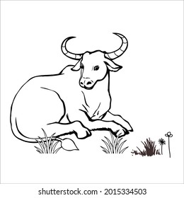 This is outline cow image for coloring