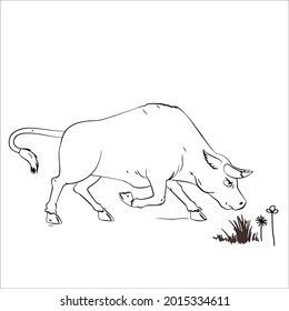 Esta es la imagen de bovino de esquema para colorear