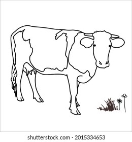 This is outline cow image for coloring