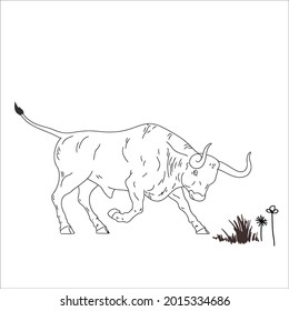 This is outline cow image for coloring