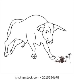 This is outline cow image for coloring