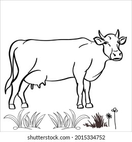 This is outline cow image for coloring