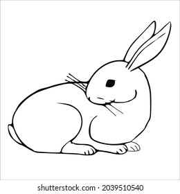 This is outline drawing coloring Rabbits Image.