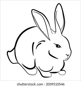 This is outline drawing coloring Rabbits Image.