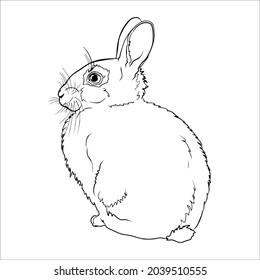 This is outline drawing coloring Rabbits Image.