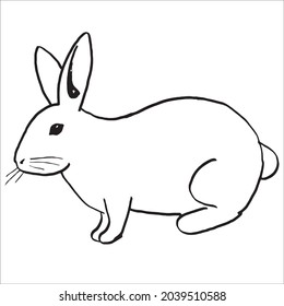 This is outline drawing coloring Rabbits Image.