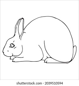 This is outline drawing coloring Rabbits Image.