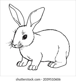 This is outline drawing coloring Rabbits Image.