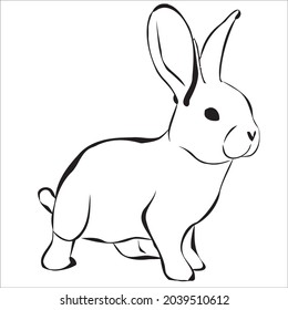 This is outline drawing coloring Rabbits Image.