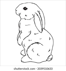 Este es el esquema de dibujo coloreado Conejos Imagen.