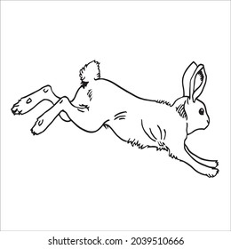 This is outline drawing coloring Rabbits Image.