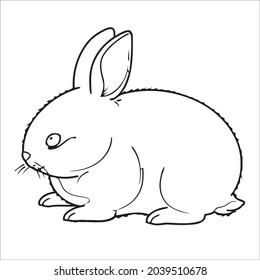 This is outline drawing coloring Rabbits Image.