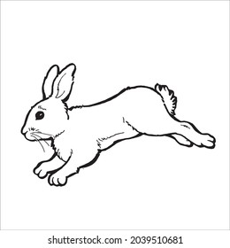 This is outline drawing coloring Rabbits Image.