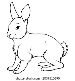 This is outline drawing coloring Rabbits Image.