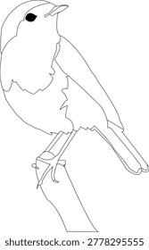 This is a outline of a swallow sitting on a tree branch. 