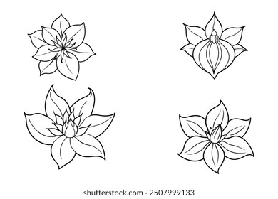 This is palash flowers vector illustration