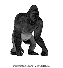 This picture is animal ilustration design of Gorila, king kong vector ilustration, design template