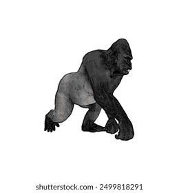 This picture is animal ilustration design of Gorila, king kong vector ilustration, design template