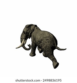 This picture is animal ilustration vector of elephant isolated design template 