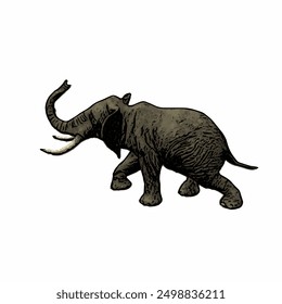 This picture is animal ilustration vector of elephant isolated design template 